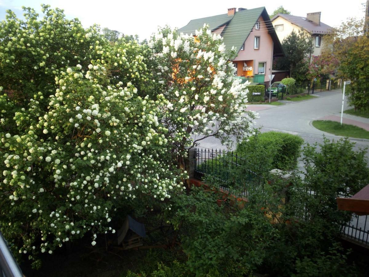 Mieszkanie Na Zielonej Tanie I Wygodne Noclegi Człuchów Exteriér fotografie
